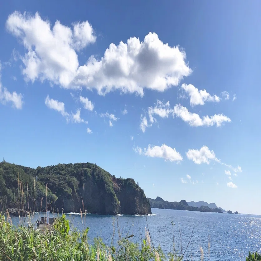 Day170→小笠原に行ってきた。後編｜Blue Jam