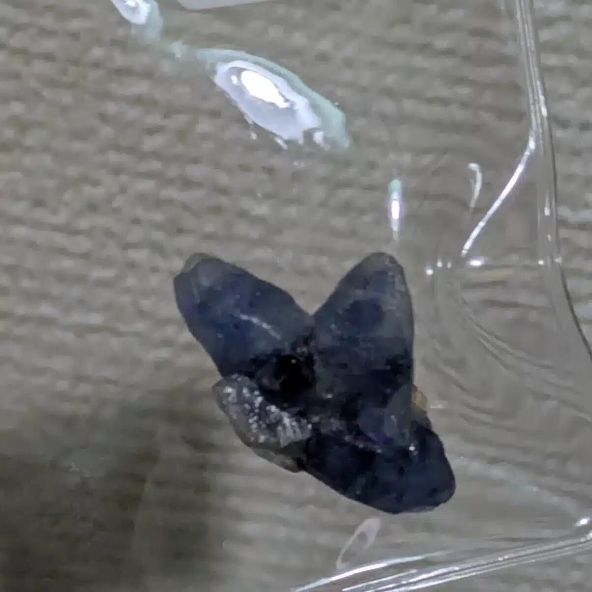 酒石算の神狐