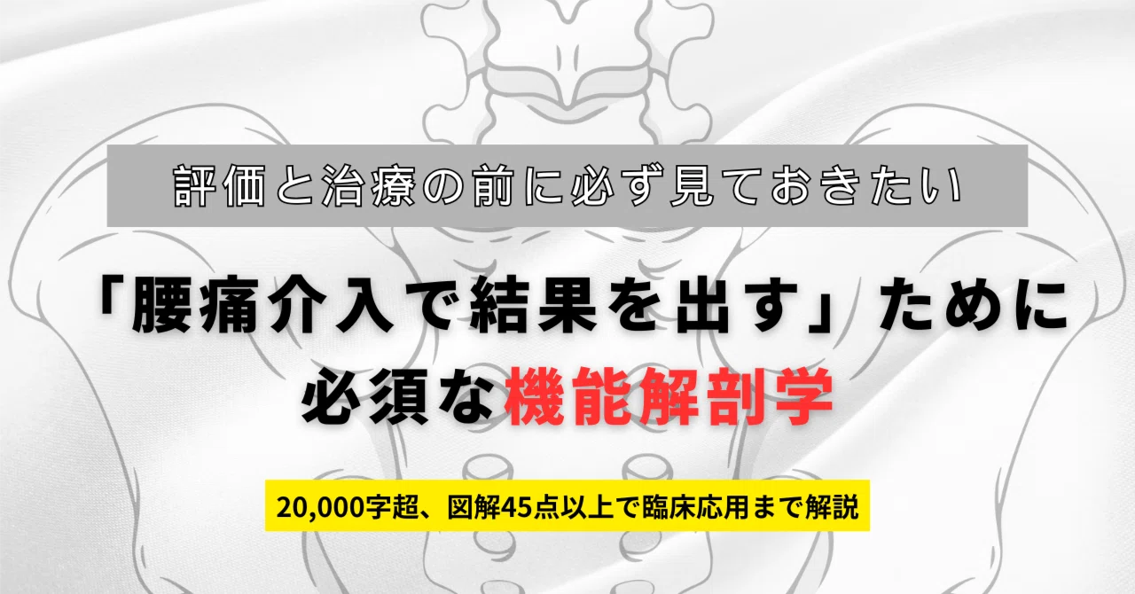 評価と治療の前に必ず見ておきたい 「腰痛介入で結果を出す」ために