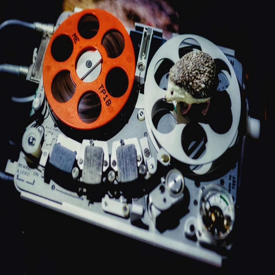 スイスが生んだ小さな小さなテープレコーダー NAGRA SN｜ON+Gadget