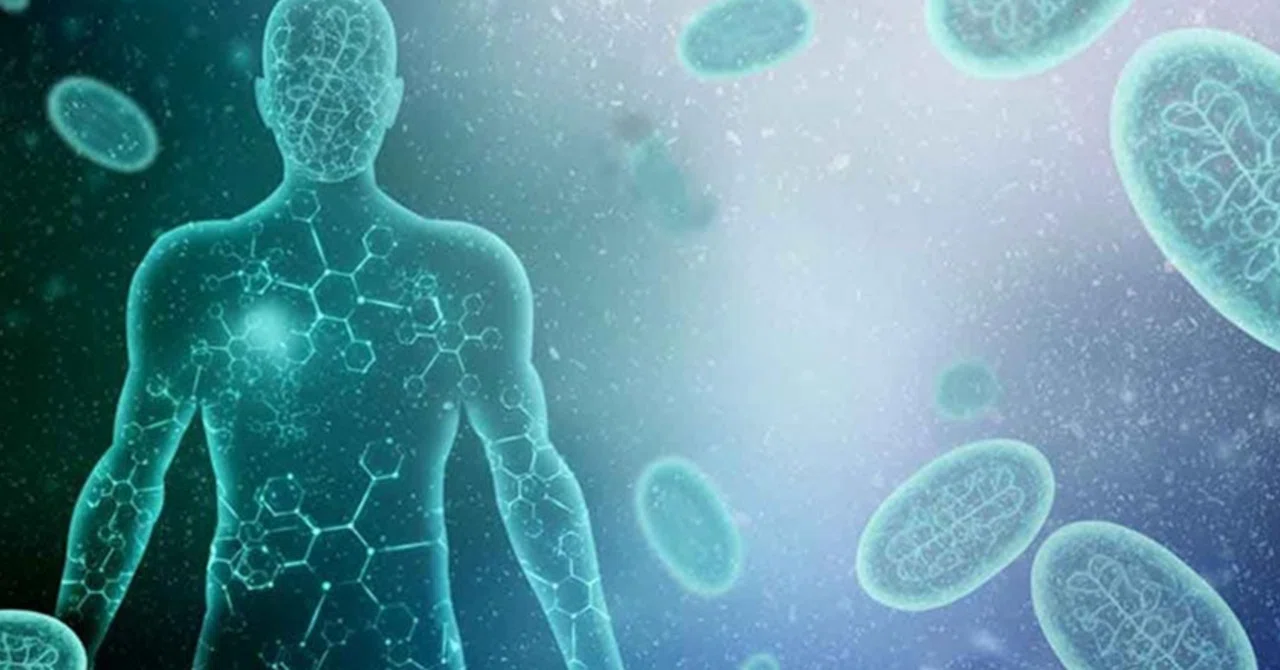 最新｜ミトコンドリアプロトコルで細胞の健康を取り戻しましょう