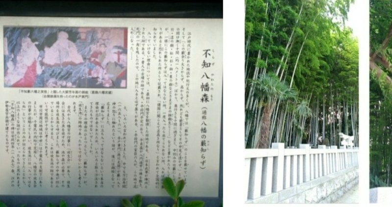 八幡の藪知らず の新着タグ記事一覧 Note つくる つながる とどける