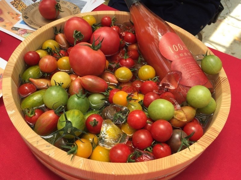 美味しいトマトができるまで！トマト農家「石原農園」栽培・収穫ツアー～農家のこだわり栽培講座、トマト食べ比べ、トマト脇芽持ち帰り～9