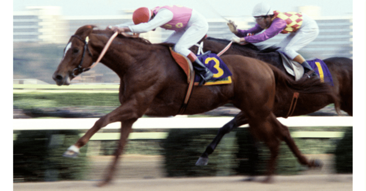 My Favorite 宝塚記念 （1977年 トウショウボーイ） 〜競馬観戦人生