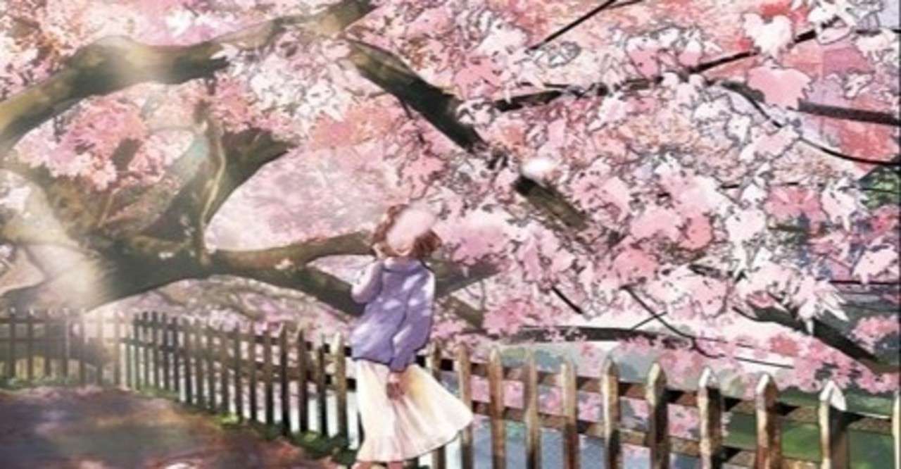 桜のような僕の恋人 涙が枯れ果てる純恋愛作品 小宮山はるき Note