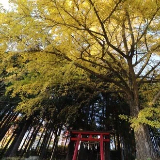 鬼死骸村探検隊長