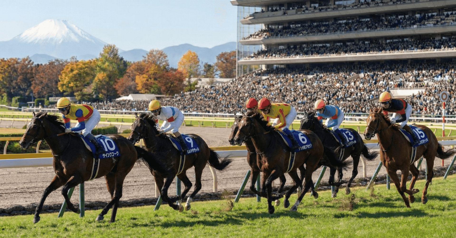 地方】競馬AI予想｜大井など全3場【名古屋ほか2場無料】2026/1/14｜プロエンジニアyuu@競馬競艇競輪オートAI予想