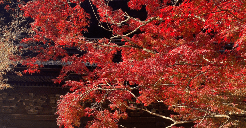 家の中にいると生命を近くに感じる