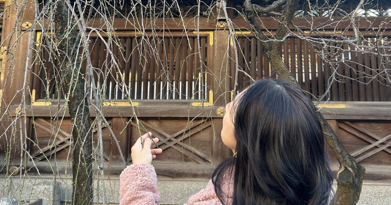 「結婚不適合者」とは？（誤解されやすい定義） eyecatch