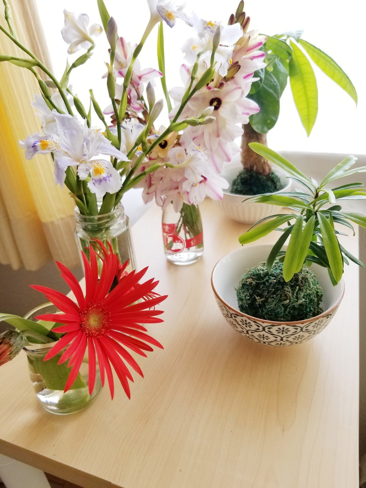 枕元に草花を はつか Note 枕元に草花を はつか Note