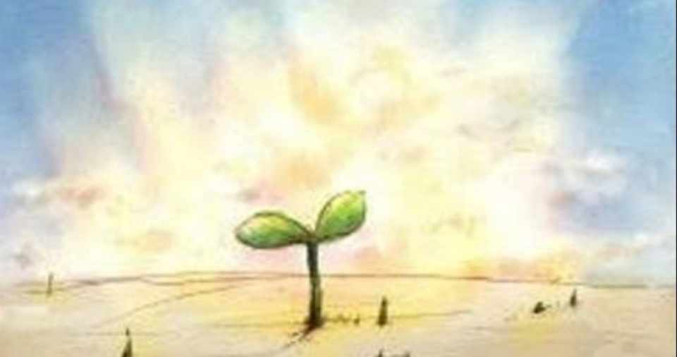 先が見えない不安よりも 今を生きる にゃん吉 農家 自由な暮らしに憧れ脱サラ Note