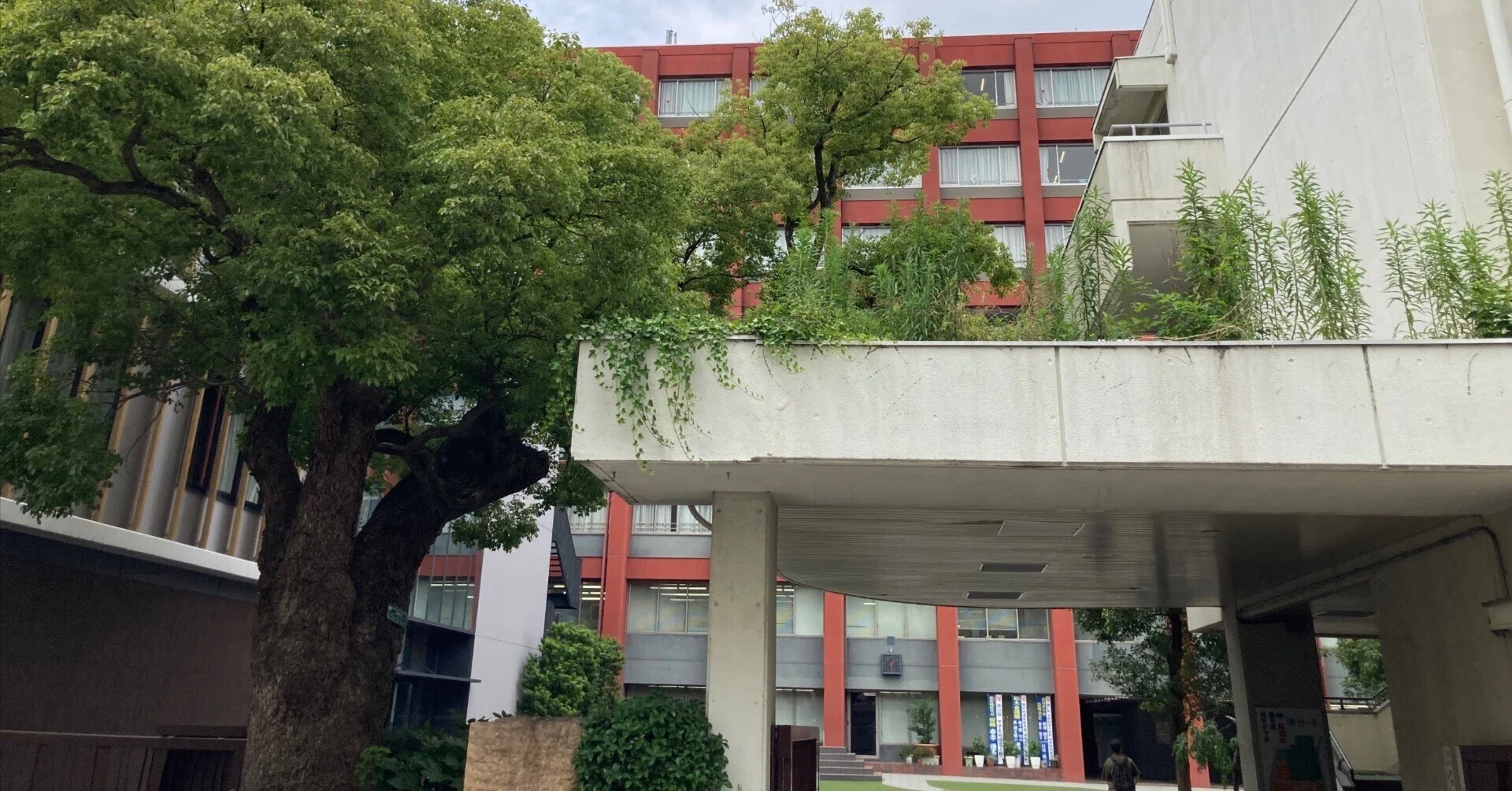 海城中学高等学校【進学校巡礼 都内編】｜【東大進学校研】東京大学 