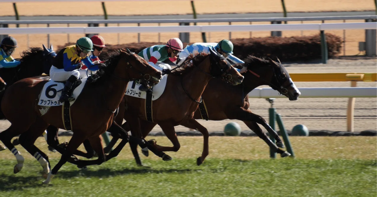 #カーバンクル登録マーク馬公開〜\(^o^)／｜無料競馬予想シルバーガイル