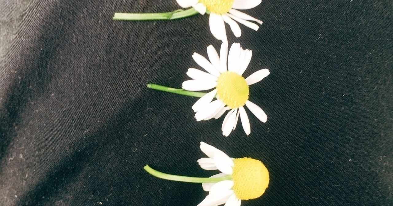 立川 奈緒 Nao Tatsugawa の年のノート Note