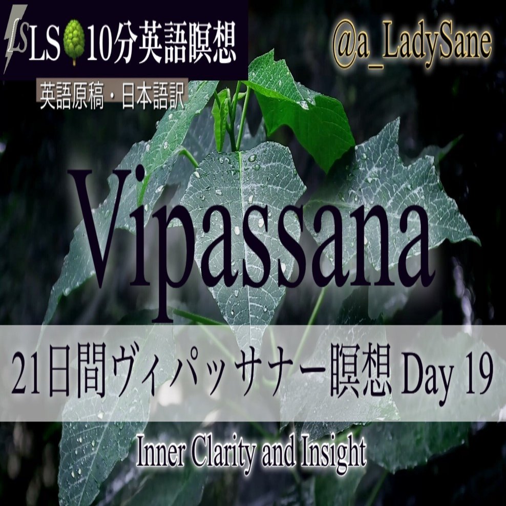 ミャンマーの瞑想　ヴィバッサナ観法 ミャンマーの瞑想 新装版: ウィパッサナー観法 | マハーシ長老, ウ