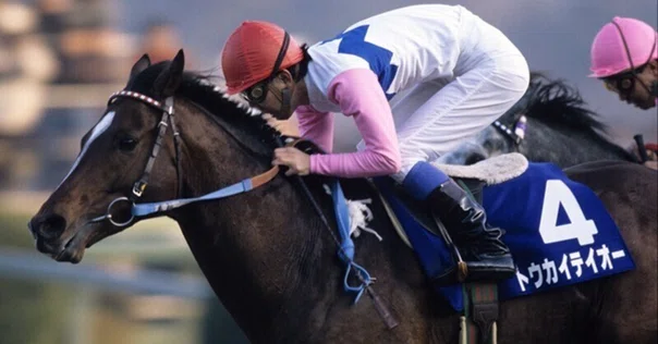 My Favorite 宝塚記念 (1977年 トウショウボーイ) 〜競馬観戦人生 My Favorite 宝塚記念 (1977年 トウショウボーイ) 〜競馬観戦人生