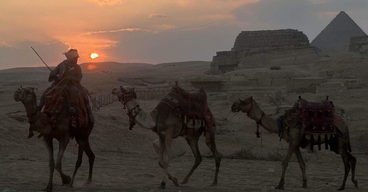 2026最新版 エジプト・ギザ【ラクダ金額事情】｜uyu