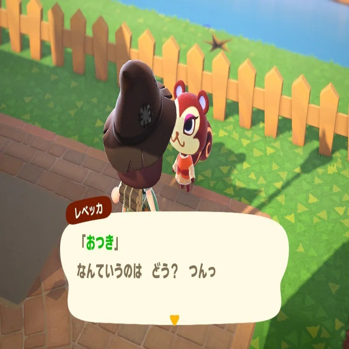 あつまれ どうぶつの森 日記22｜皐月之孤