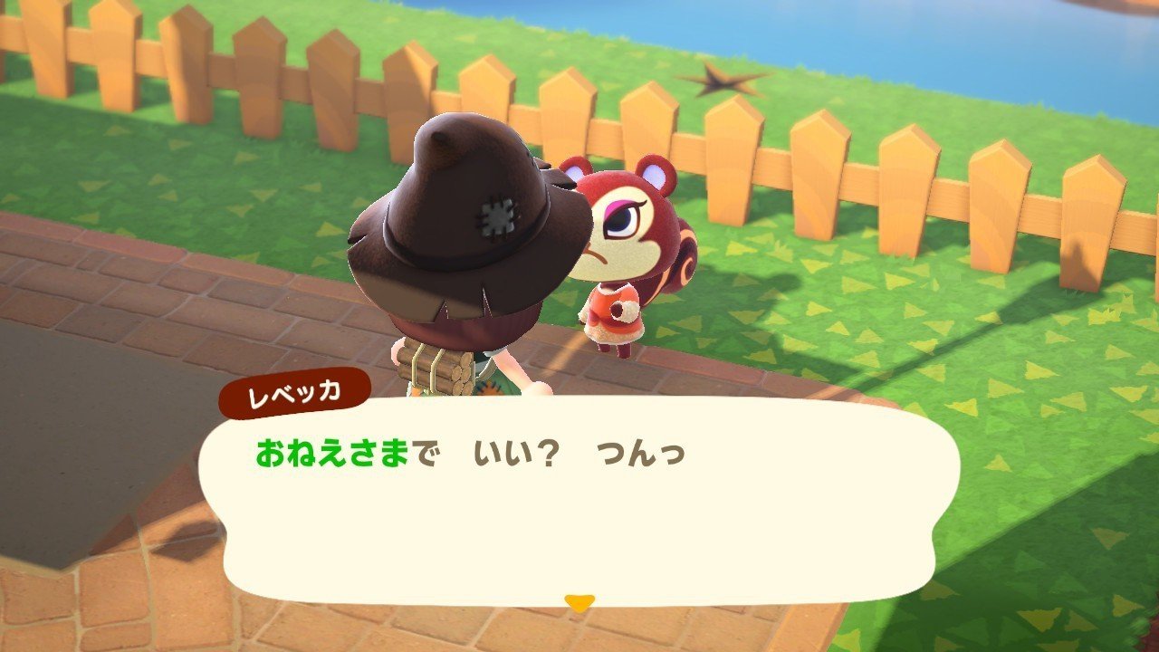 あつまれ どうぶつの森 日記22|皐月之孤 あつまれ どうぶつの森 日記22|皐月之孤