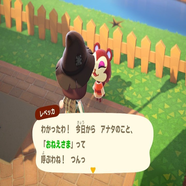 あつまれ どうぶつの森 日記22｜皐月之孤