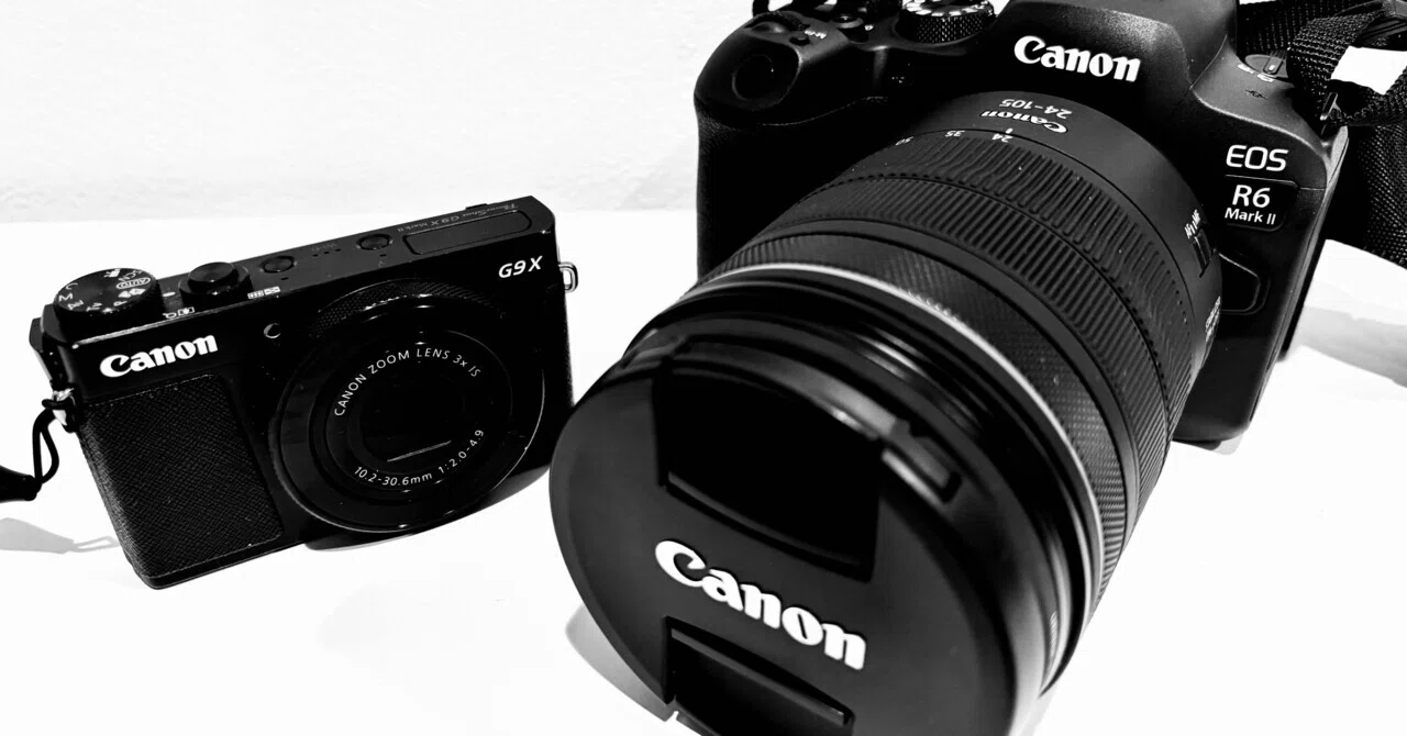 Canon R6 Mark II レビュー】 1週間使って感動した「産毛まで写る 