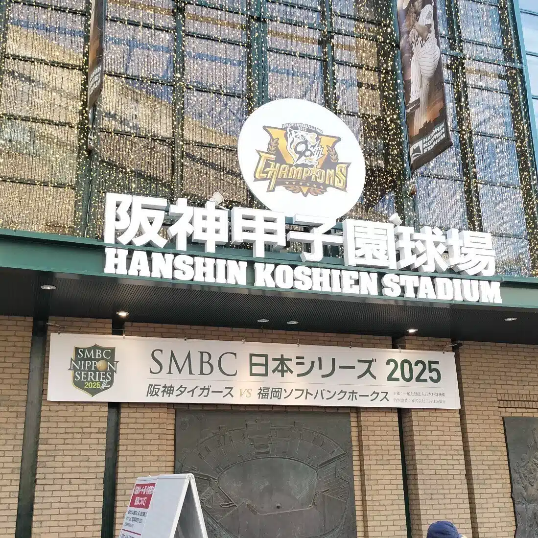 とりとら