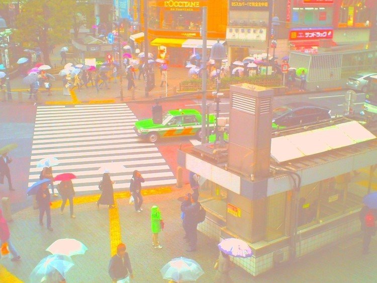 街 Vol.1 @渋谷
#写真 #トイカメラ #トイデジ #デジタルハリネズミ #渋谷