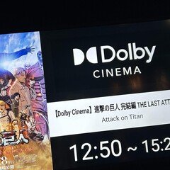 日記】シャクティマットは凄いぞ…買ってよかった2024ベスト確定