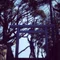 なないろ和waon音 -nanairowaon-
