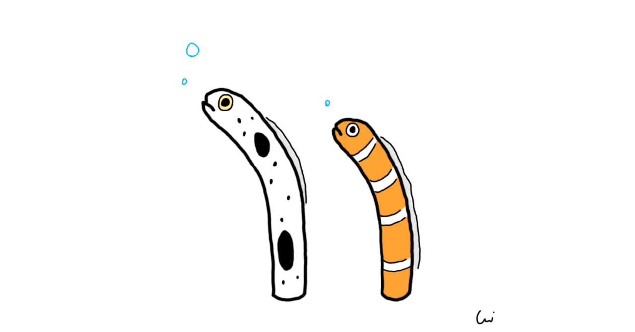 なにかと話題のチンアナゴ Osakana Note なにかと話題のチンアナゴ Osakana Note