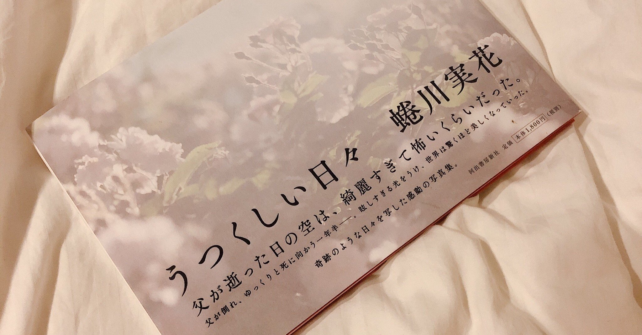 うつくしい日々 蜷川実花さんと私 やんぬちゃん Note