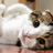 みかん