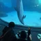 窓際のお父さん