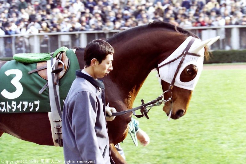第47回東京新聞杯 蔵出し写真 1997年 ベストタイアップ 馬画人 まがじん Note