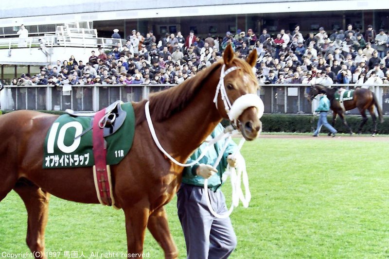 第47回東京新聞杯 蔵出し写真 1997年 ベストタイアップ 馬画人 まがじん Note
