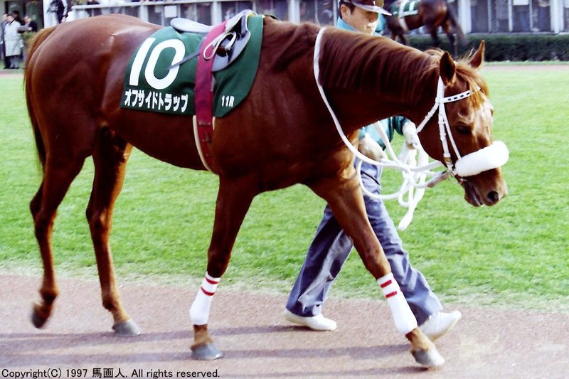 第47回東京新聞杯 蔵出し写真 1997年 ベストタイアップ 馬画人 まがじん Note