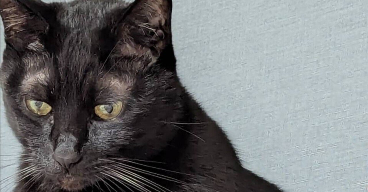 寒いからね｜ひろみん