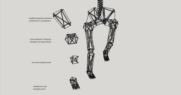 人体のテンセグリティ - バイオテンセグリティ｜續池均（kintsuzuike