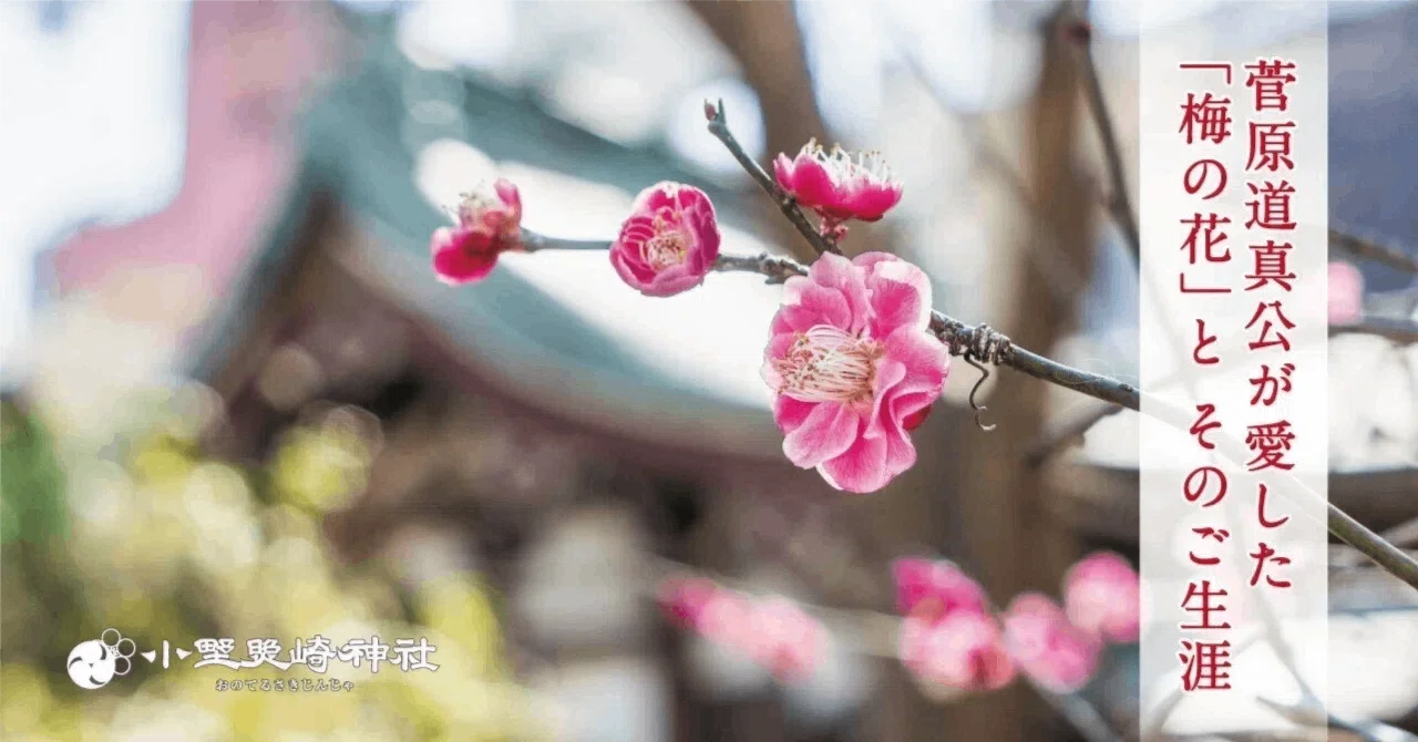 こよなく梅を愛した菅原道真公 その清らかなるご生涯｜小野照崎神社