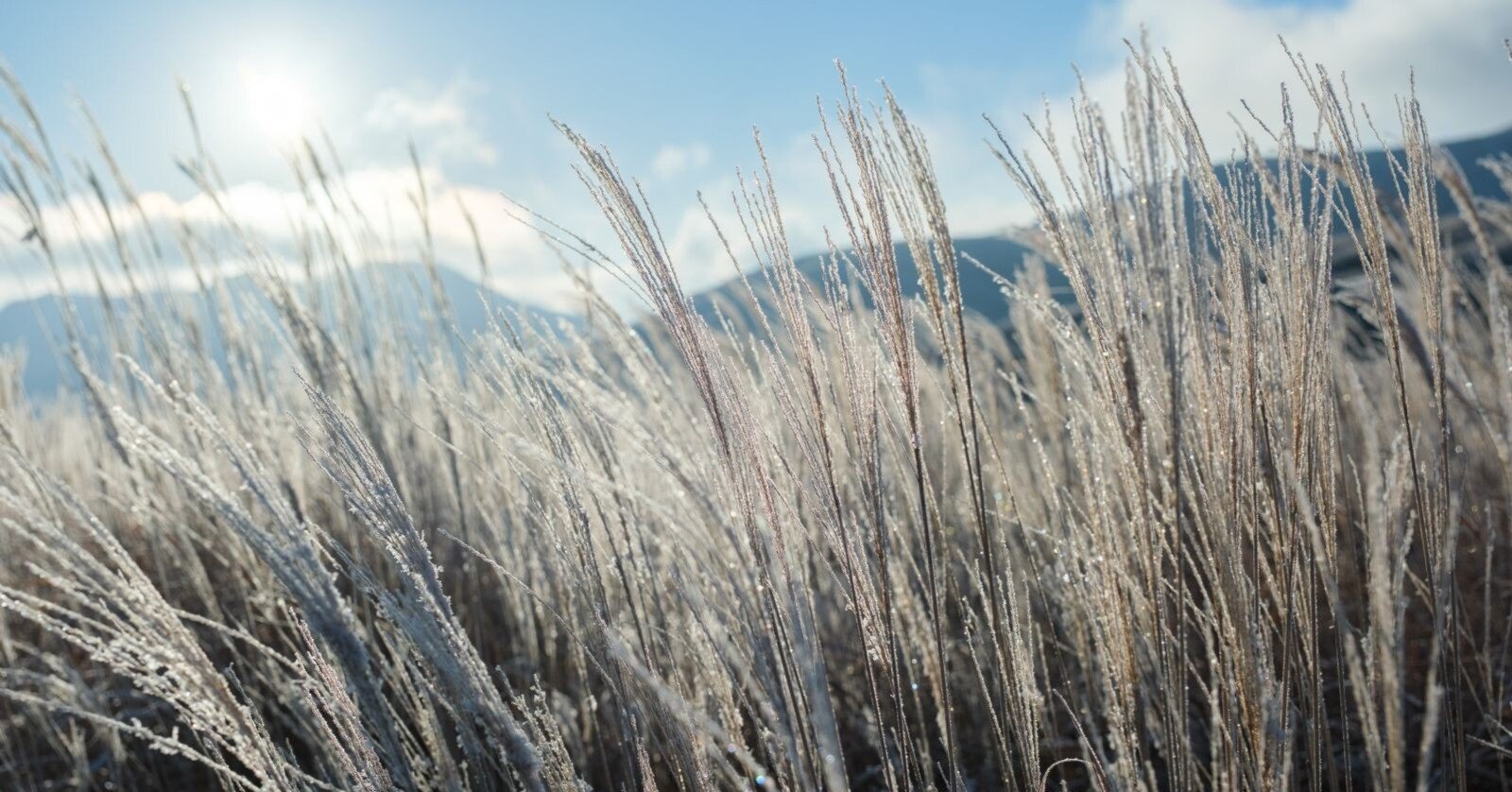 田代順七、【雪の阿蘇】、希少な画集より、新品高級額・額装付 田代順七、【雪の阿蘇】、希少な画集より、新品高級額・額装付 絹谷