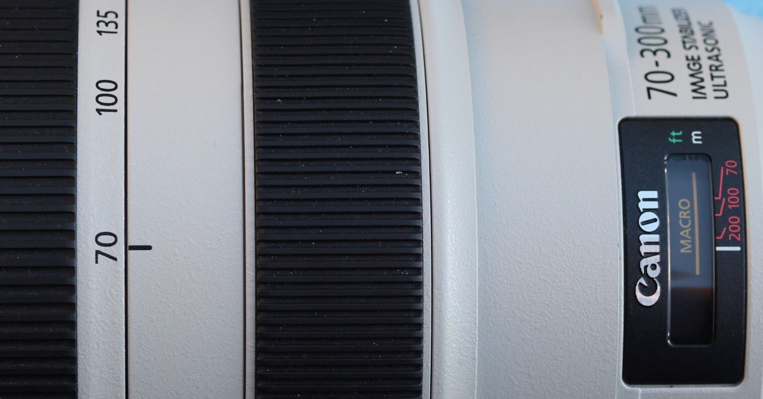 ちょうど良いので今も現役 EF70−300mm F4-5.6L IS USM｜大佐藤