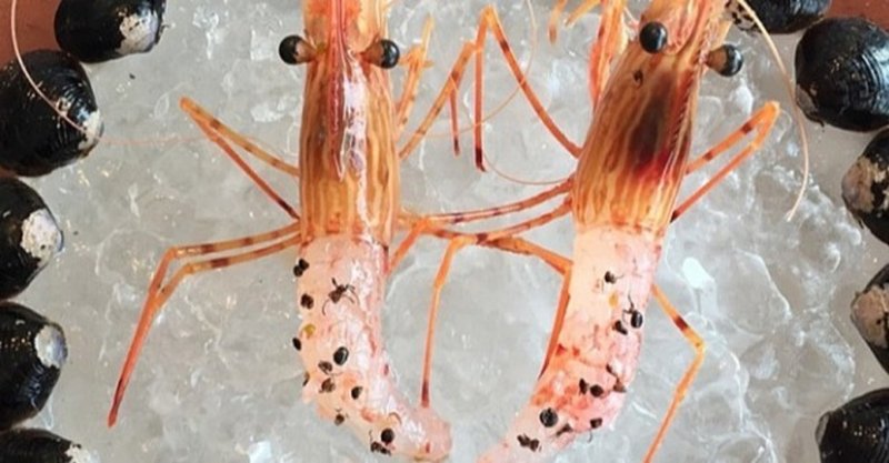 どうして日本人は冷たいの o君の16分析 note