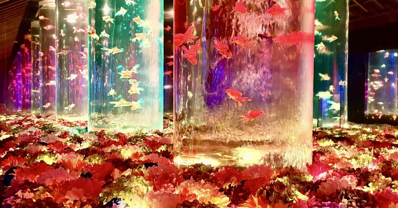 百華繚乱”金魚と花の彩展〜冬のアートアクアリウム〜銀座｜Yayoi Fujikura