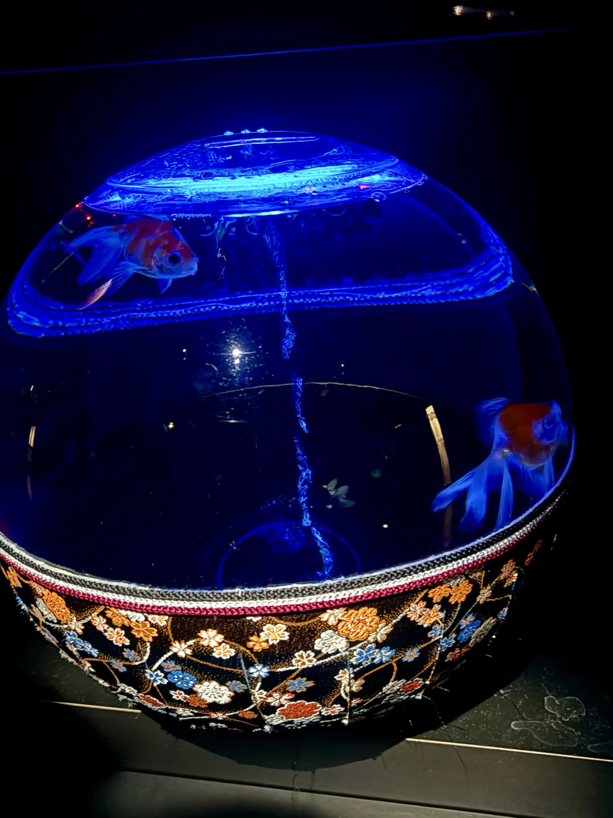百華繚乱”金魚と花の彩展〜冬のアートアクアリウム〜銀座｜Yayoi Fujikura