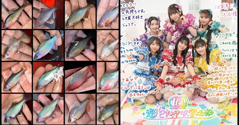 【エッセイ】推しは推せるときに推せ