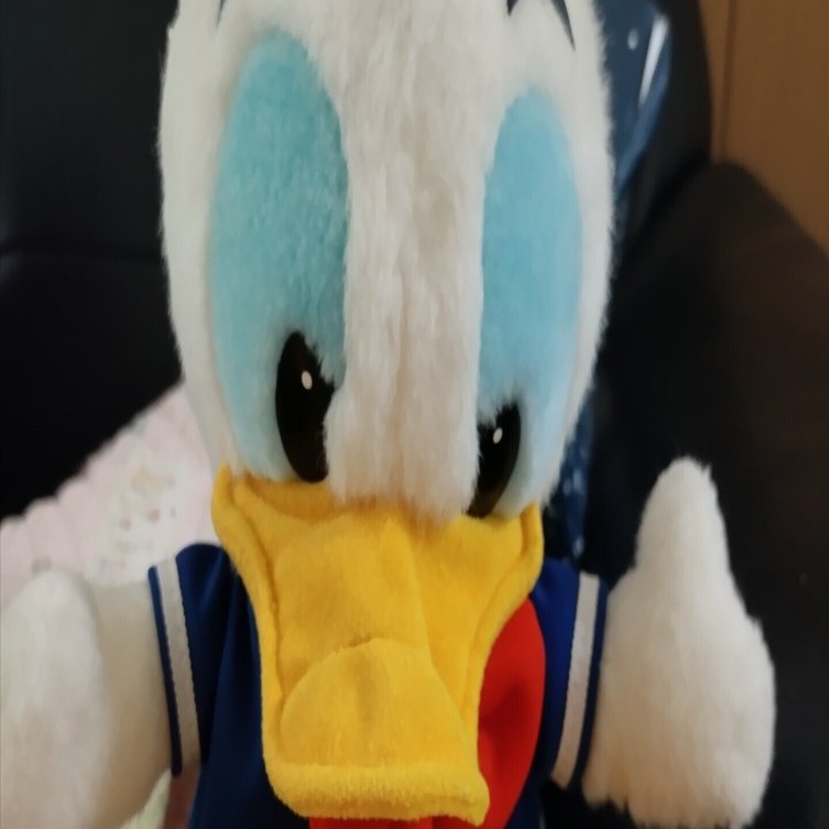 1990年代レアなドナルドダックディズニーランド！｜siro