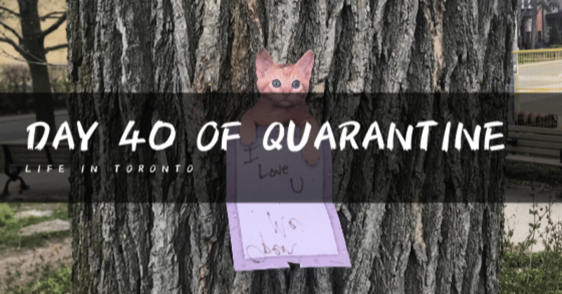 Day 40 of Quarantine in Toronto【Swear Wordについて】