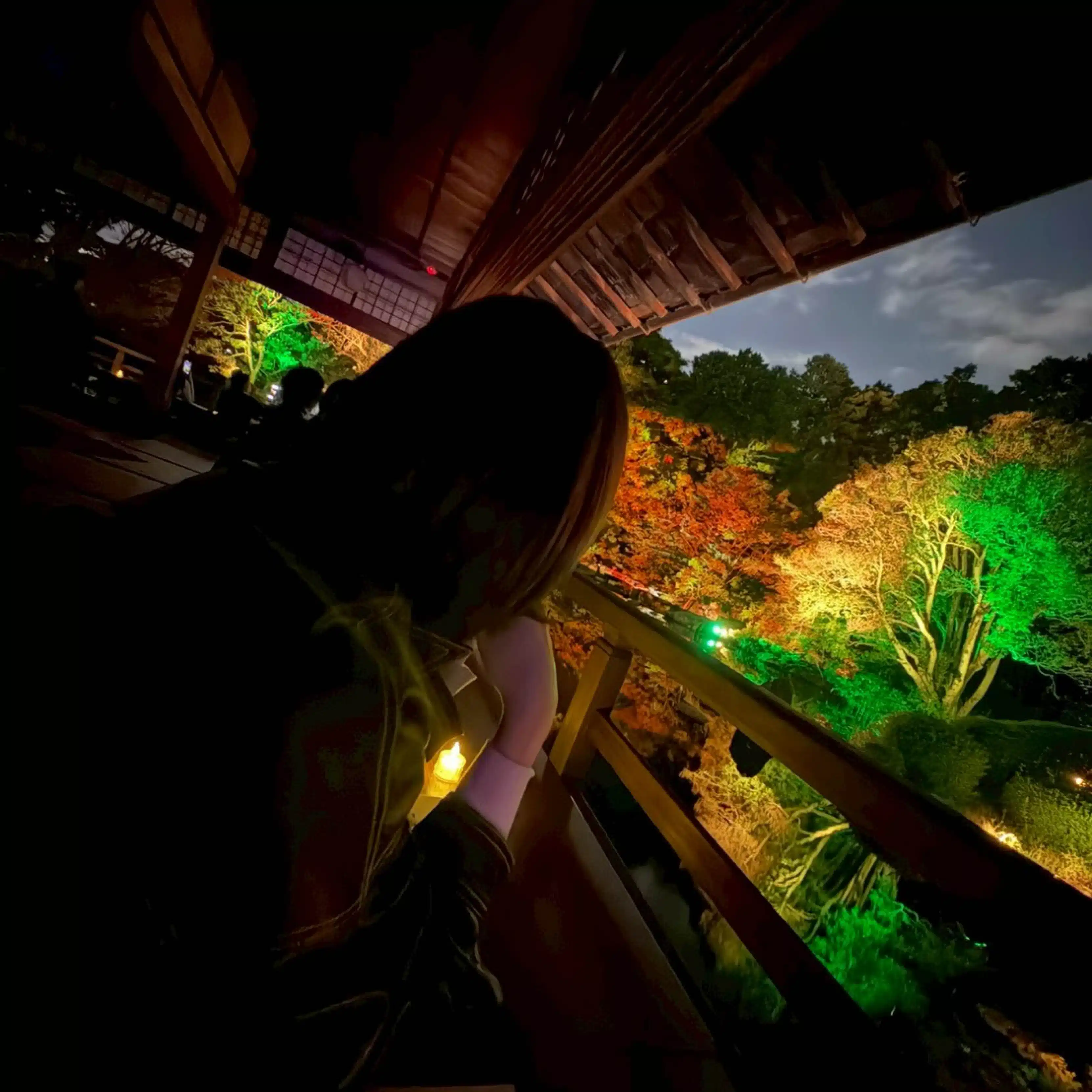 蒼波🌱