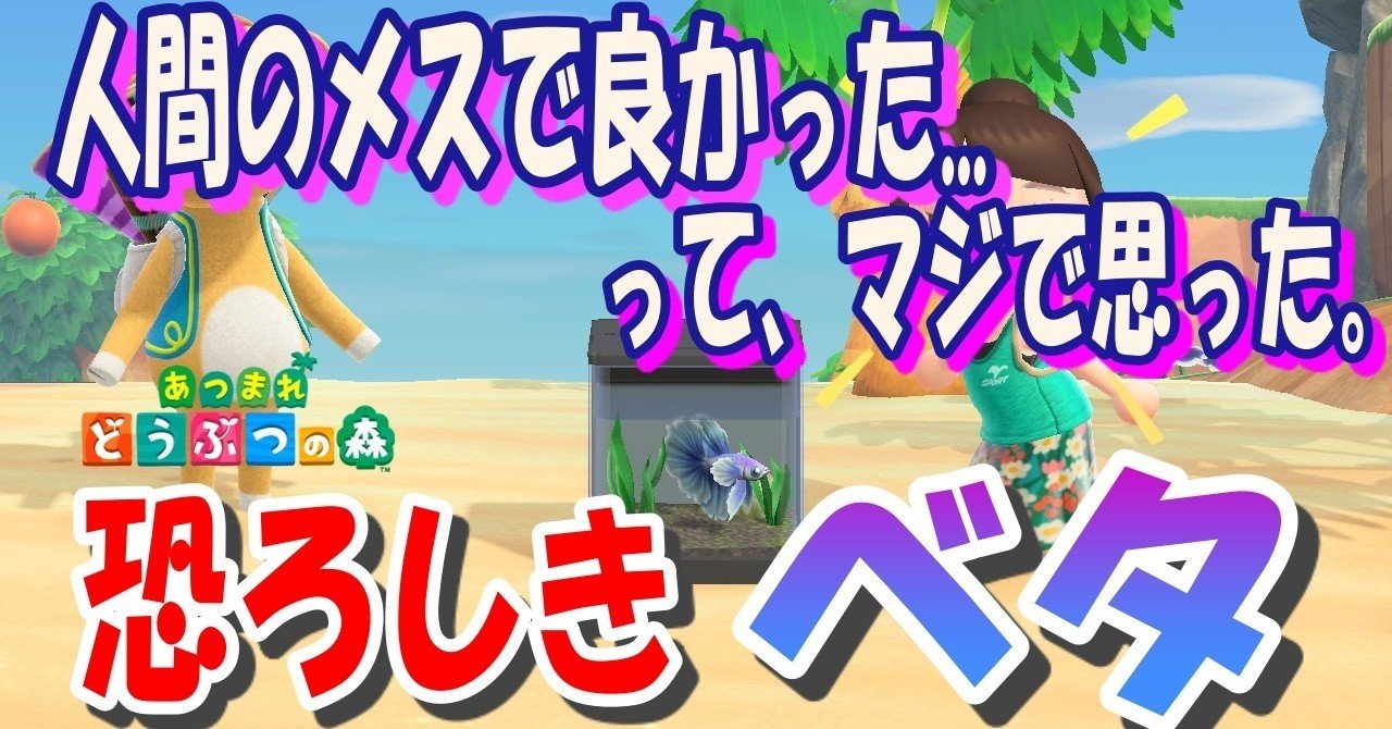 あつ森から学ぶ生物の話 ベタさんよぉ 闘魚って言ったって何もそこまでやらなくても良いんじゃないの 緑木リョク Note あつ森から学ぶ生物の話 ベタさんよぉ 闘魚って言ったって何もそこまでやらなくても良いんじゃないの 緑木リョク Note