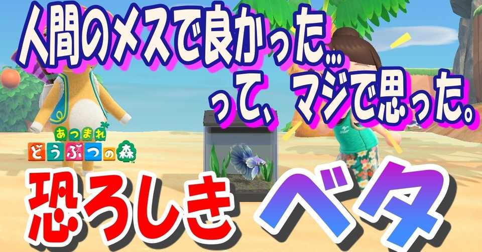 あつ森から学ぶ生物の話 ベタさんよぉ 闘魚って言ったって何もそこ